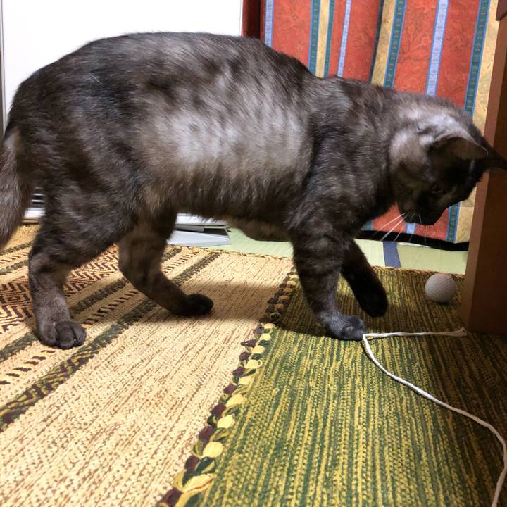 10d79431 dab4 4a64 8266 2b5cb820f0ad 1591715651120