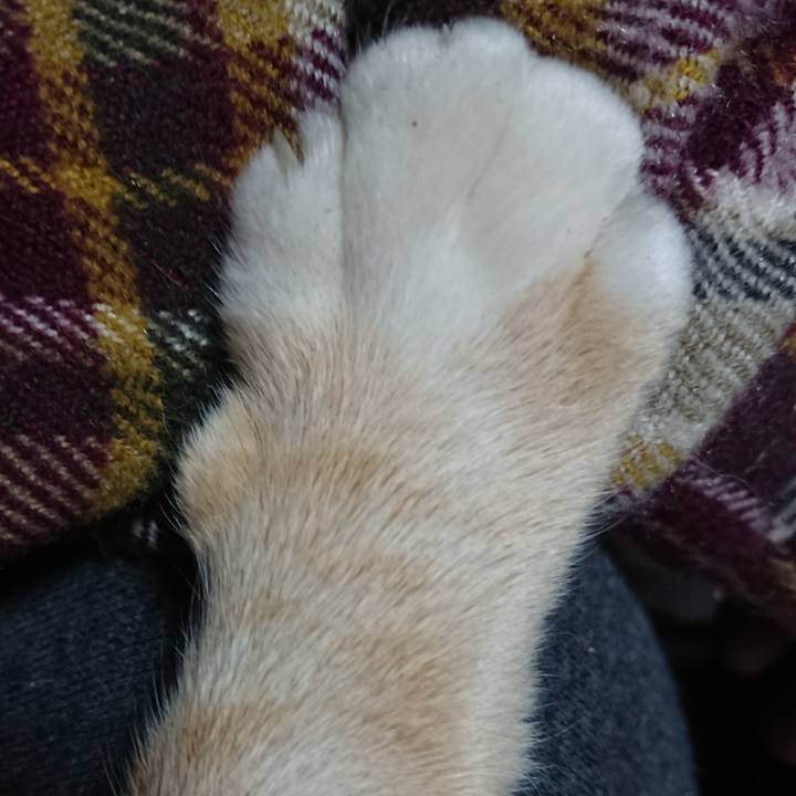 10d7bdfc ef4d 4c7b a1c7 29e2aee94a25 1577577117639