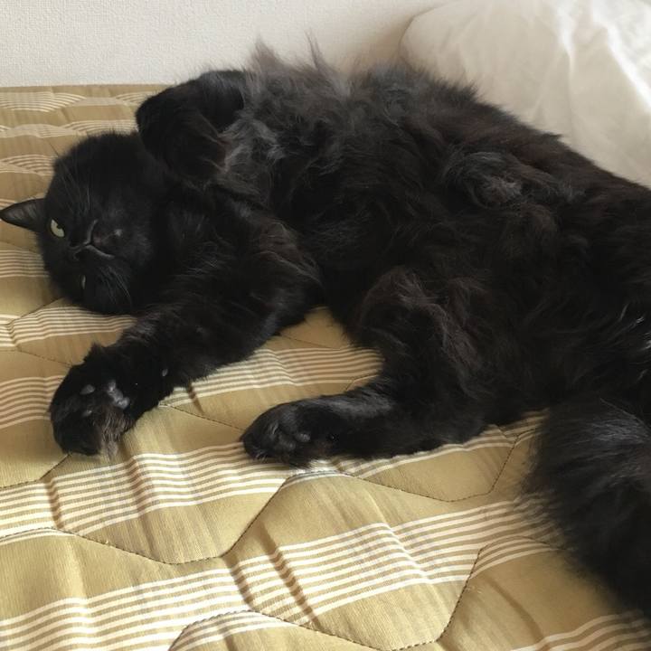 10d7cb76 744c 48b0 9707 4f139da99f2e 1539073369089