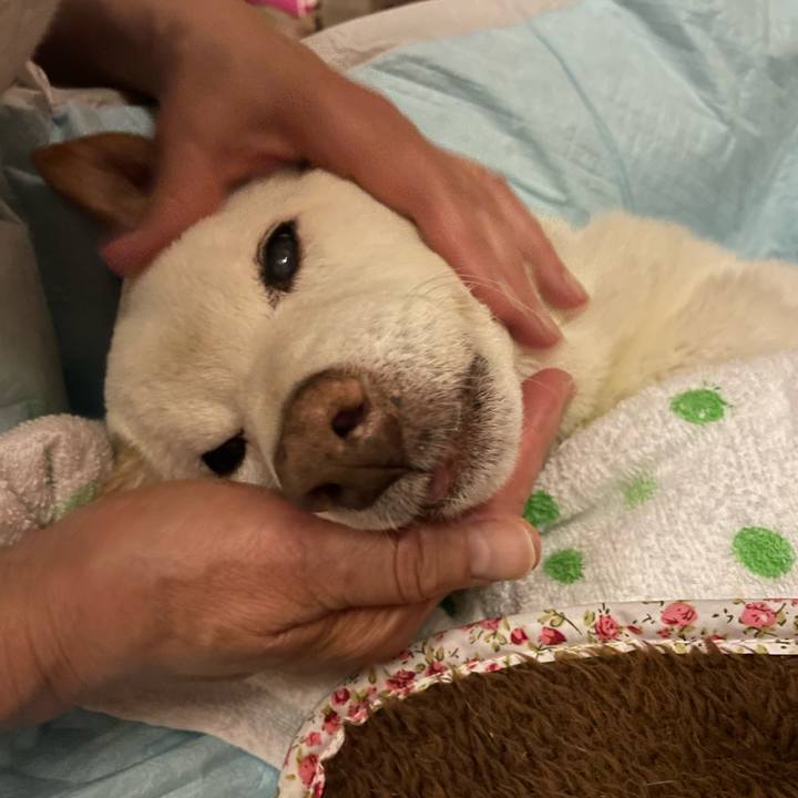 10d7d4ca 6049 4cd0 b050 dd5add6e6a56 1668426399578