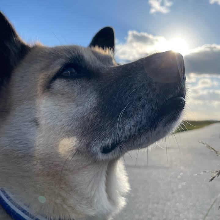 10d7d6f3 82ee 4de6 9fc2 7e7dbf138e5f 1700303468450