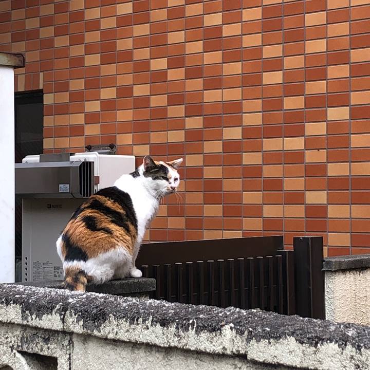 10d80047 99f9 49d5 ab13 fd33a2de25ba 1604630670245