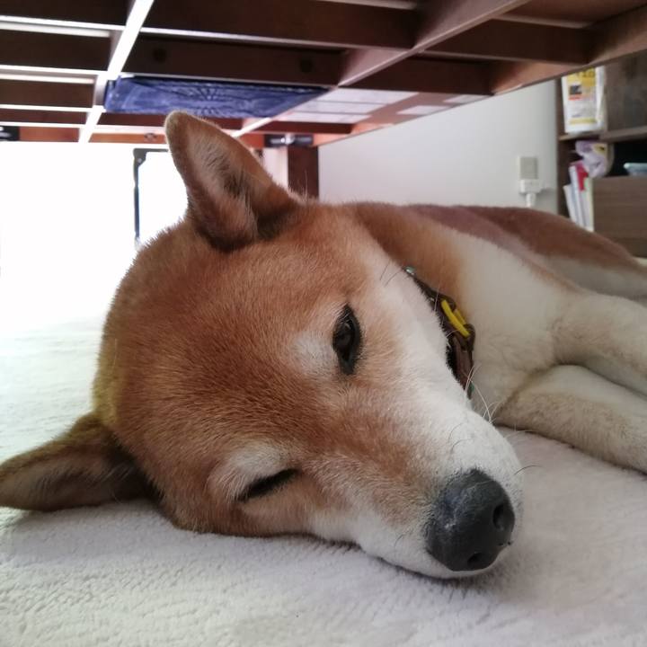 10d80249 2b81 44d8 a9d8 f45895eb63a0 1684403074861