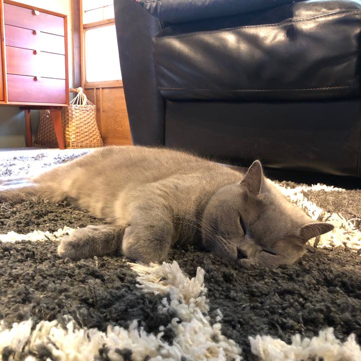 10d81fdc 2d33 4266 b345 c7081ae47b32 1618023023659