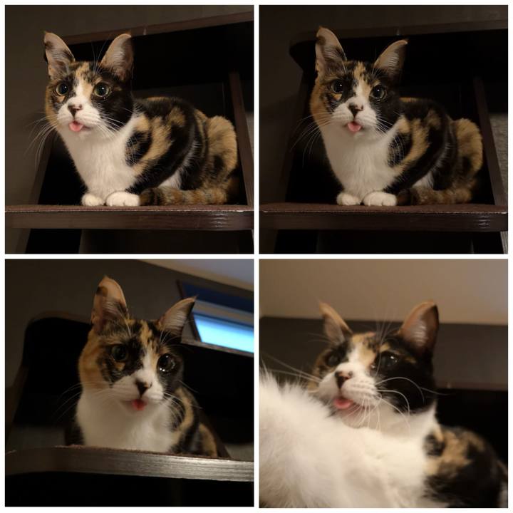 10d8310c 78b2 4c9d b6d2 989cb1027172 1609298906498