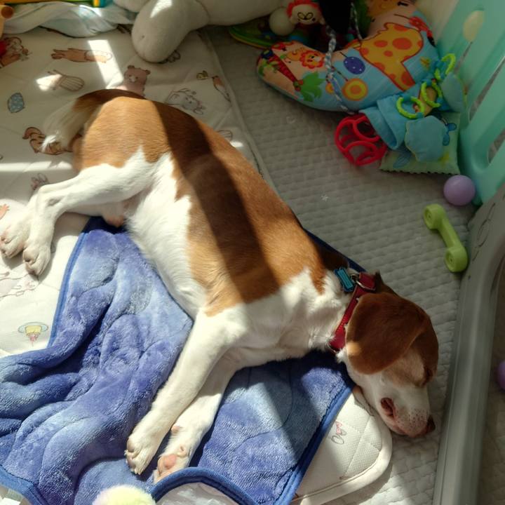 10d89002 7f4e 4125 9141 f73d445983d4 1677465699142