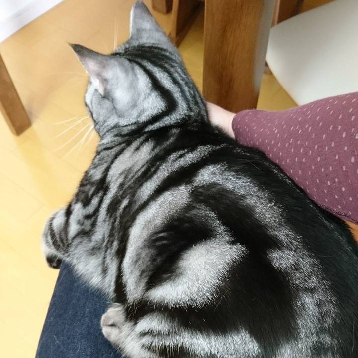 10d8a55a 5dfc 4968 8080 9fdefbbd2f70 1512442056309