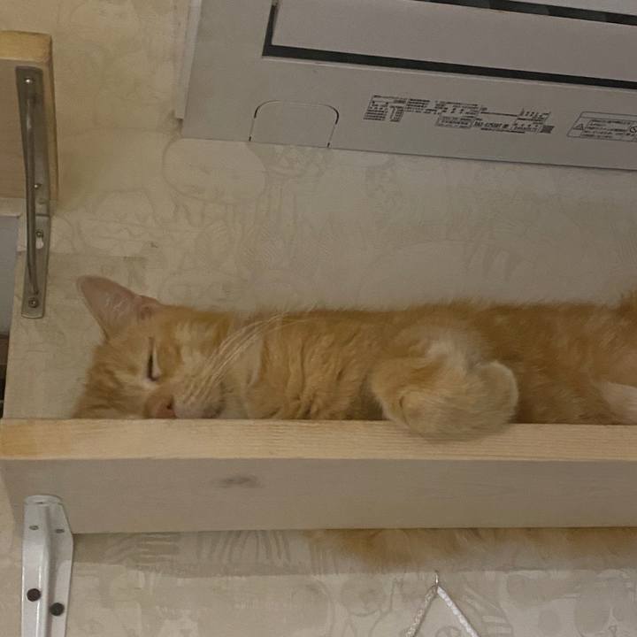 10d8a934 5d1b 4279 a61e 7aa5670ac4e0 1603798508232