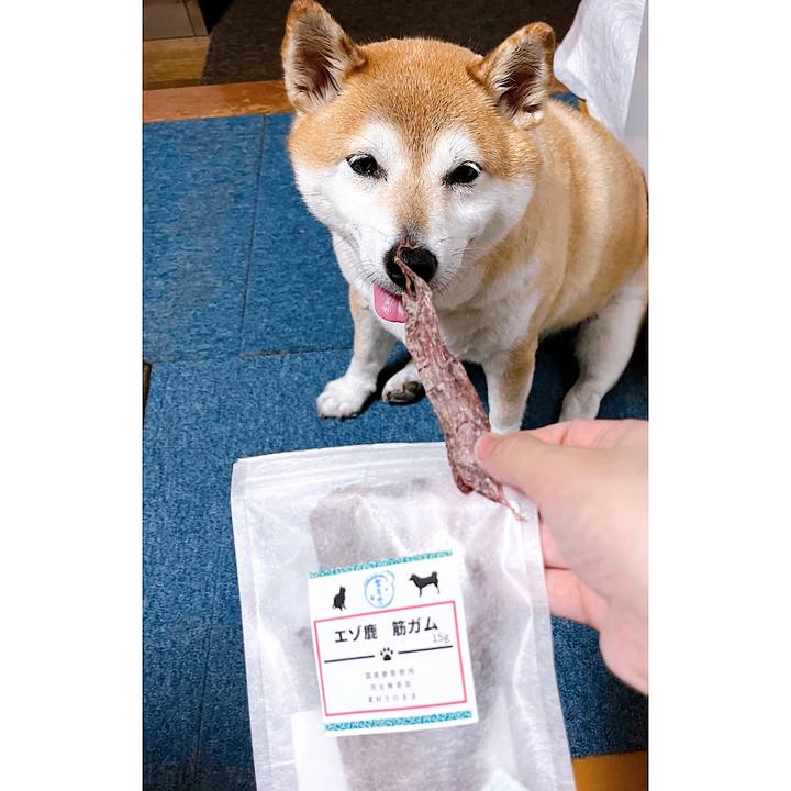 10d8bef3 b45b 4f97 b371 42f72f702512 1721513351412