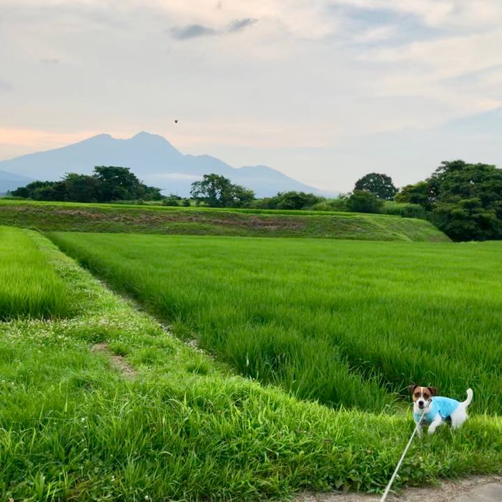 10d8c7c7 5a8e 41b4 9ead cad44644fd98 1564654735022