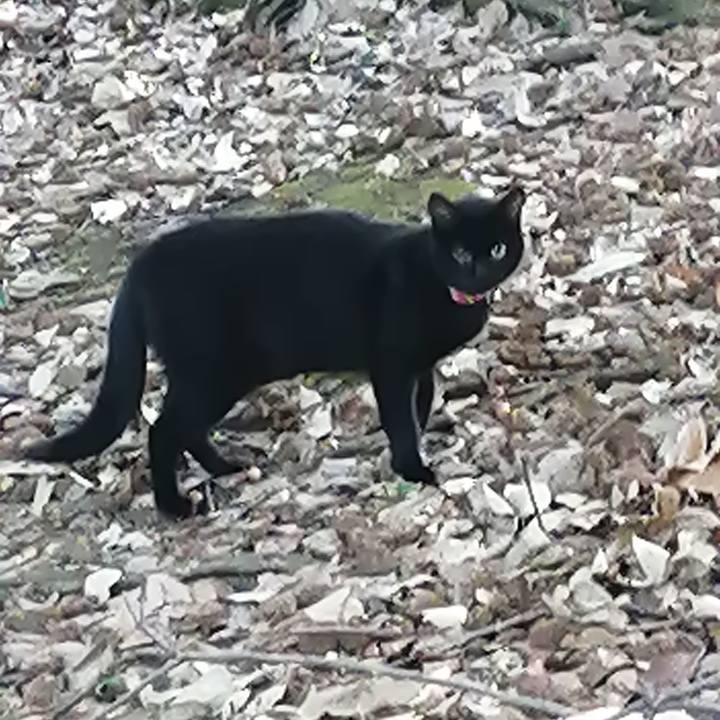 10d8e24c 87df 4cb6 a486 53329431cd30 1635288083346