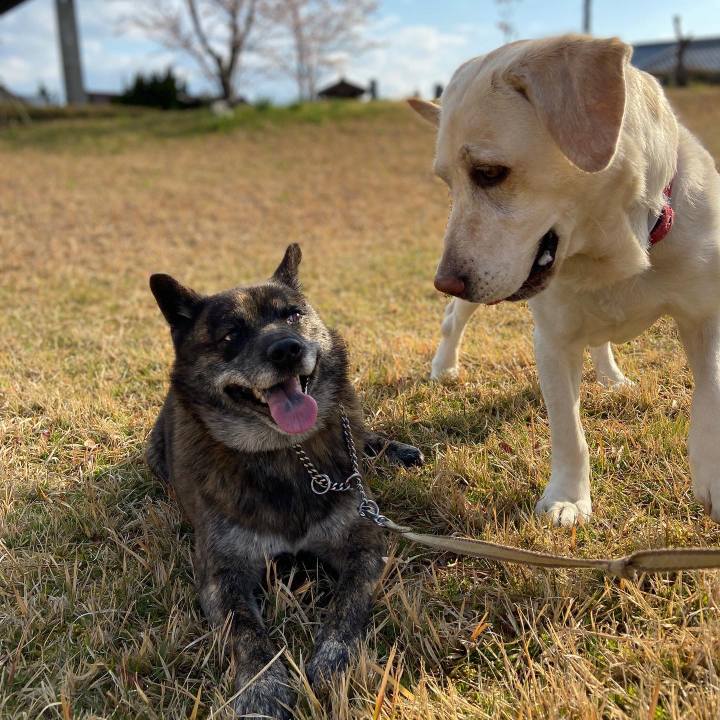 10d8e81e e575 4127 b0df e04a1e99aba3 1586388972731