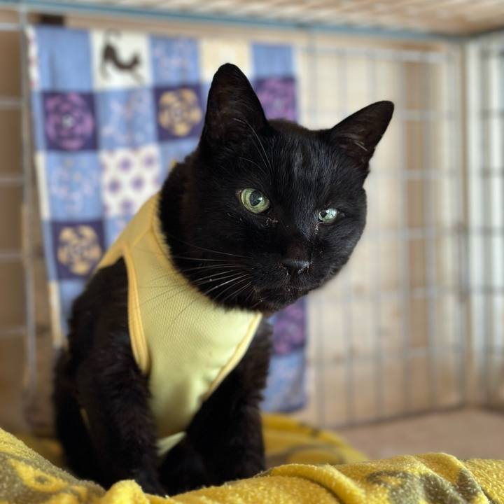 10d8e9ec b8f6 4f03 a340 3876ed3ad4d3 1715997305085