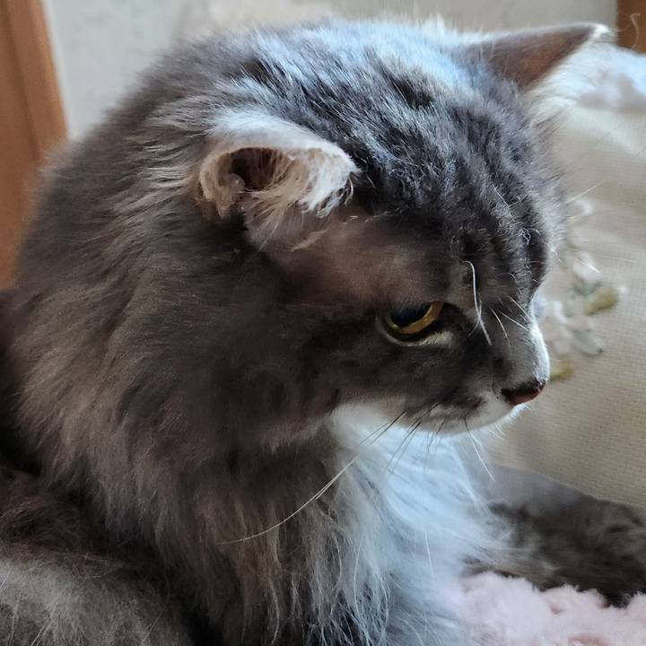 10d8ea39 e167 4298 8640 4e4e2345265f 1730496763102