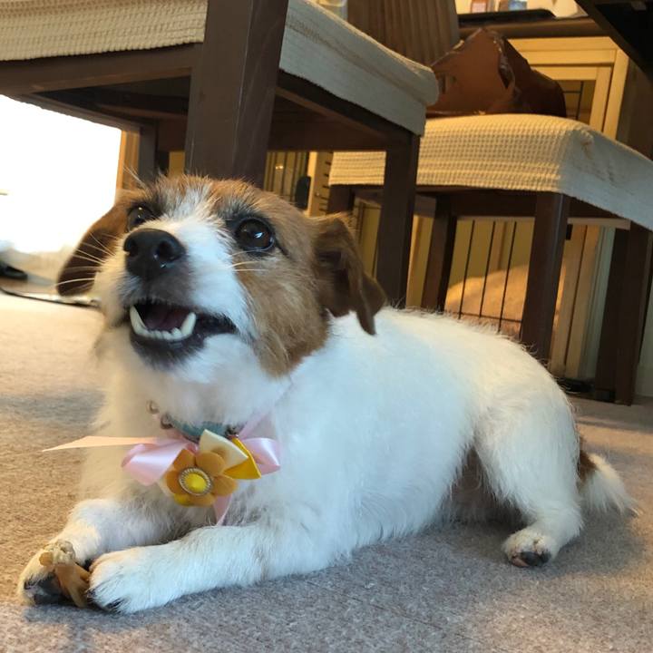 10d902a4 f4c3 4108 9a06 dc84a38eca67 1556801091308