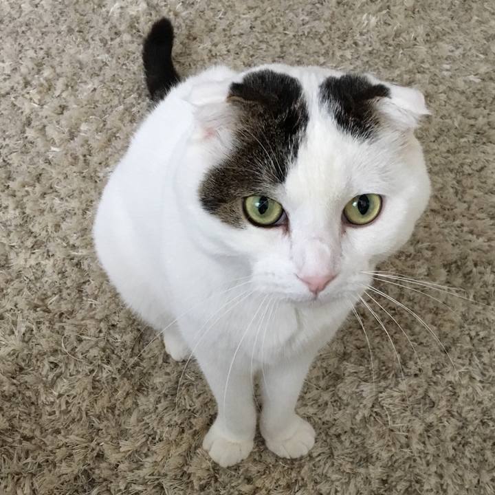 10d92d55 6b0a 4fd2 96b5 df35e1617550 1511661304380