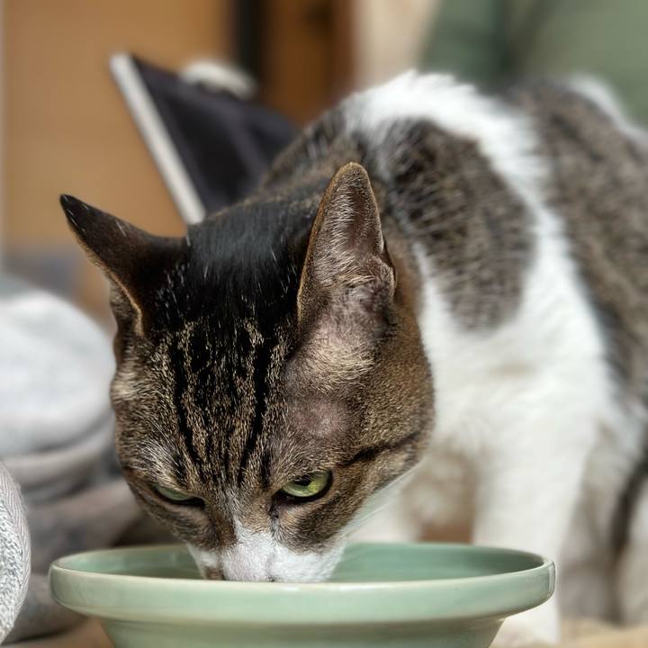 10d948ca d95a 402e a2a3 d6358f006dfd 1682217978045