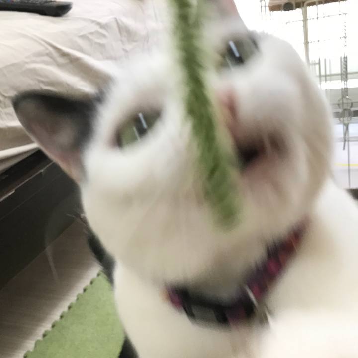 10d95683 9399 4b33 b56e 2886ac859903 1531634235114