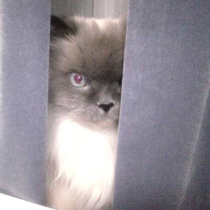 10d9ef30 e2aa 4824 bbcd 974e2b2bf18c 1566002238649