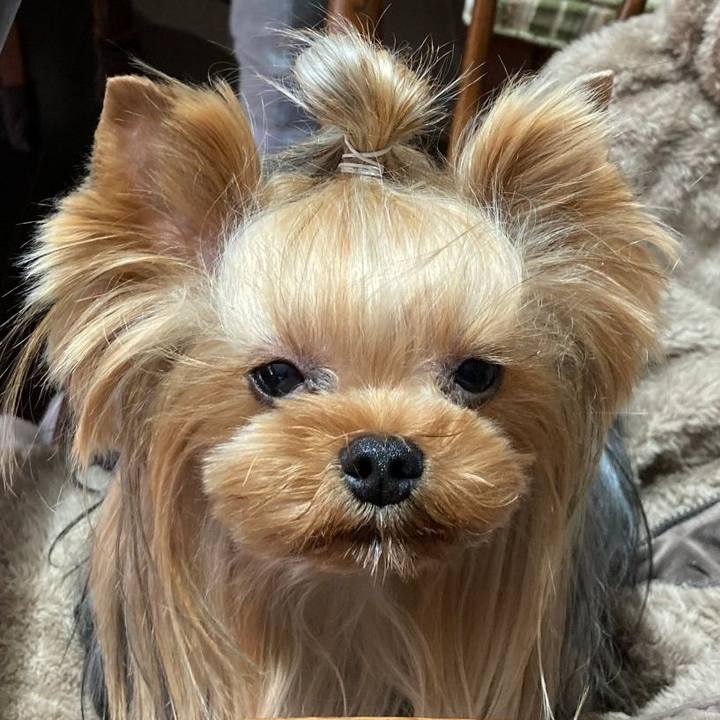 10d9fb46 7f3d 4e12 8ad4 97ad405367bb 1676695258897