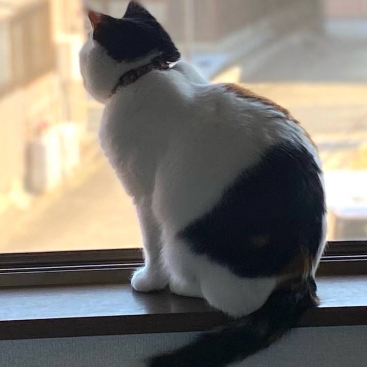 10da164a 3a2e 4cf0 a756 be3be85773ea 1709212325355