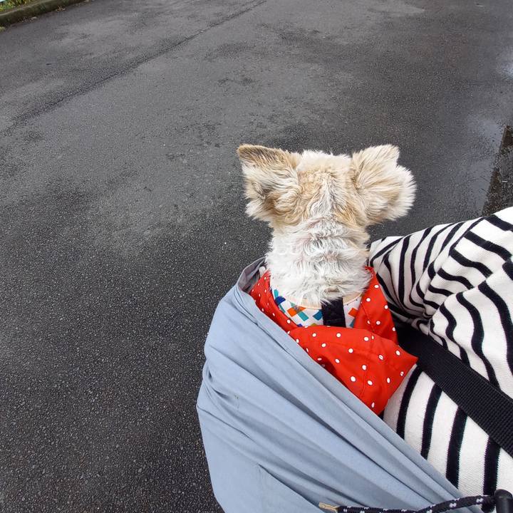 10da2399 172c 4185 98b6 7e4760bc6cff 1621132571828