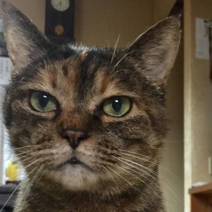 10da2d47 2bff 4fbb b5b1 96cacd1d019b 1546952719386