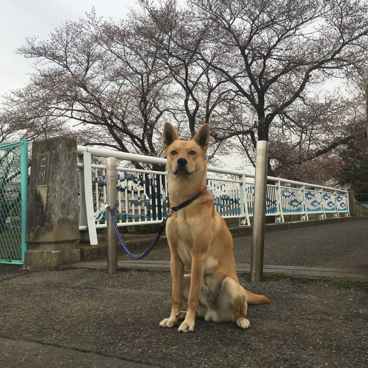 10da3e52 63f8 4c98 bf7d bd49a2e5f4bd 1521874574386