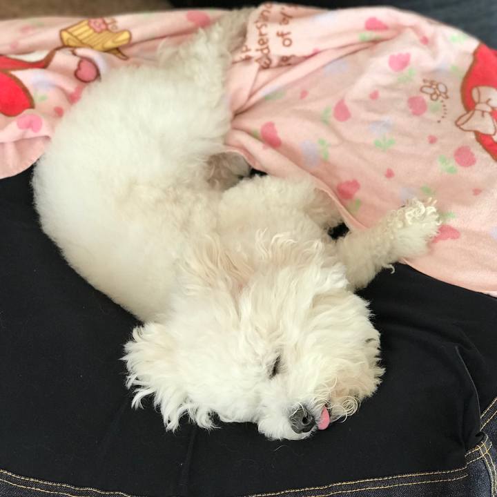 10da5214 684b 4f72 9c72 a82ce84bb956 1580257100643