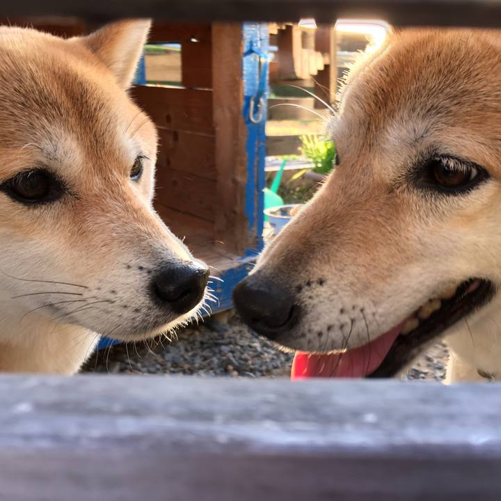 10da5d4b d08f 41c3 b7a9 87b221f06d67 1573993839979