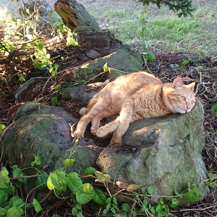 10da7d5e d309 4612 a7ed 762a8066f921 1659258679739