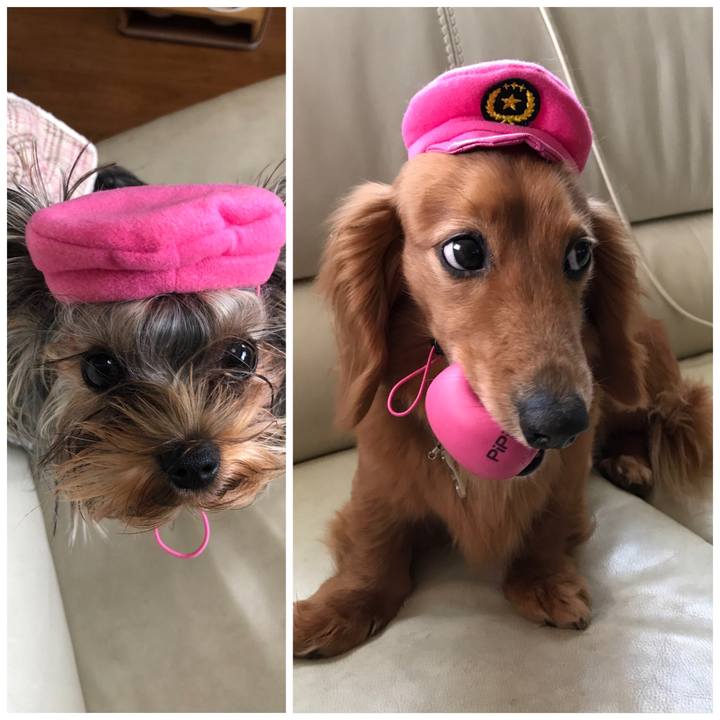 10da8091 0d90 401c a479 65e3a223c036 1637476872767