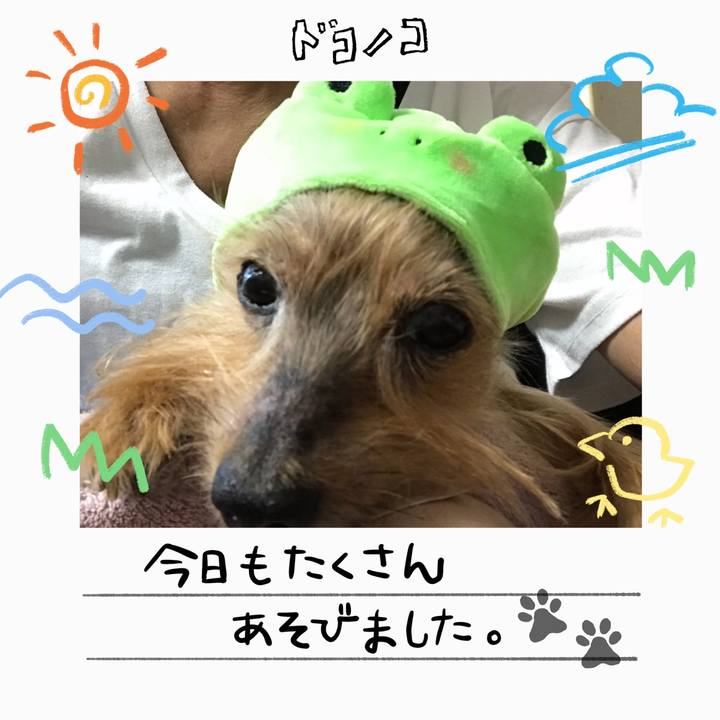 10da8166 de07 4721 b55c 6d2dce2c0fc3 1755066739410