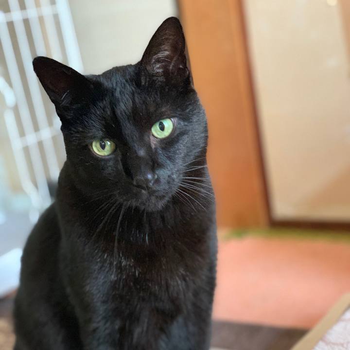 10dac943 9d92 4360 bfd5 29dc10e7c3cf 1550280072625