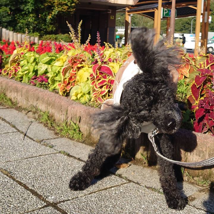 10daea6c c704 4caa 861e b23d76ab2147 1762078571684