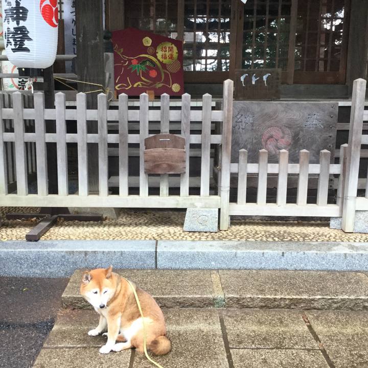 10db1135 b5d4 4c74 ac17 972ae7838b3d 1621572216635