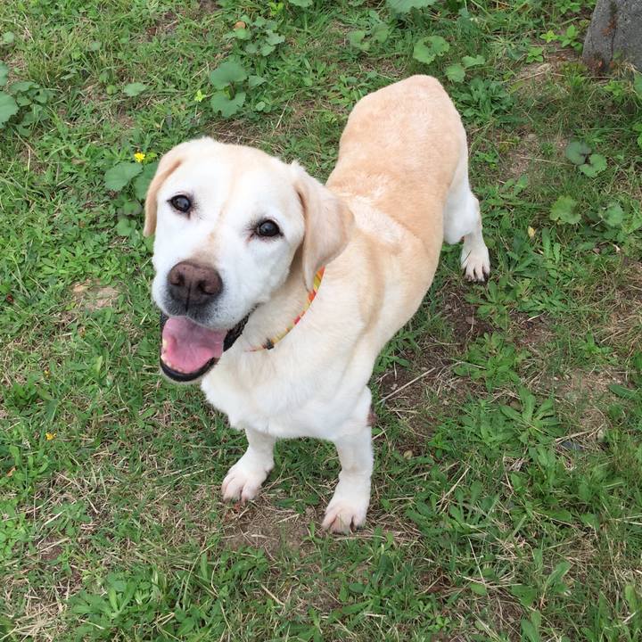 10db4a9b 29f8 45dc 9a06 b5f23a71cf26 1663500953269