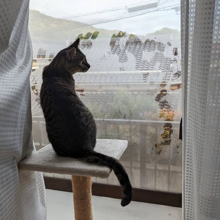 10db9ba5 84c5 4743 a65d 76185ab135b2 1714624475204