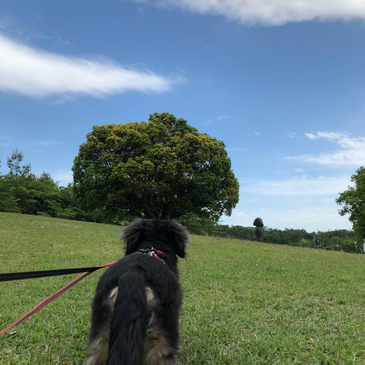 10dbb84a d4bb 4f9c 8975 444e574487e7 1589269928108