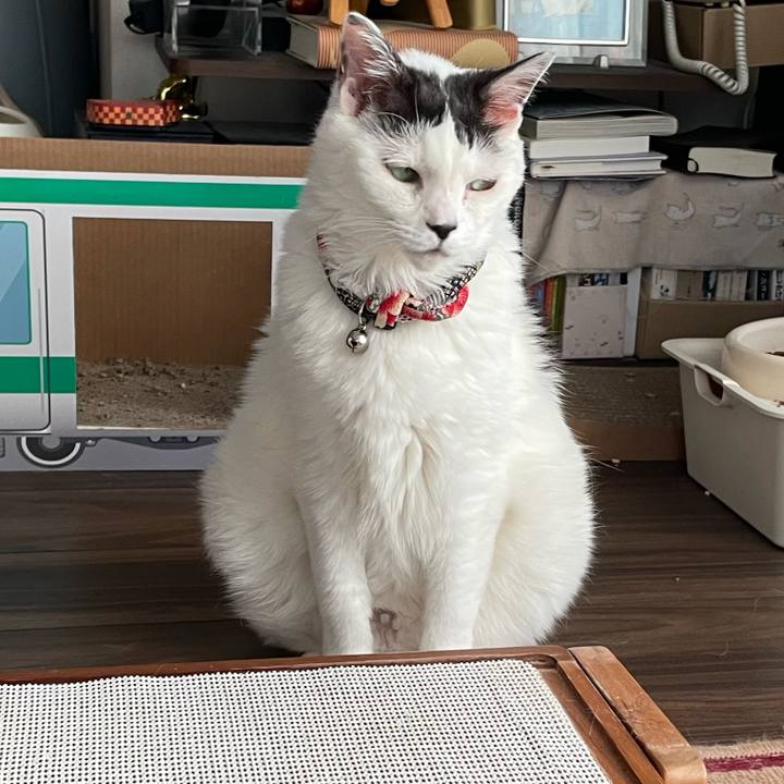 10dbc274 9d1e 4871 8855 24aa6c75de47 1749977250231