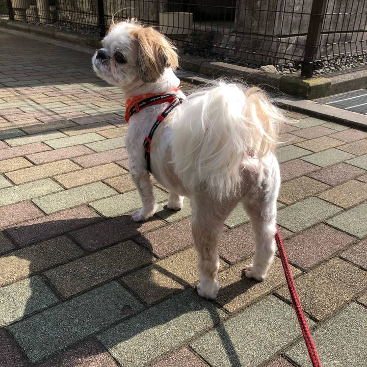 10dc39cc d29c 4155 9897 55b8449edf75 1557178788783