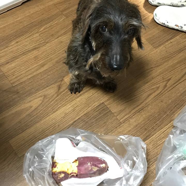 10dcb310 ee64 4011 b9c9 df95ea0454ed 1557488302550