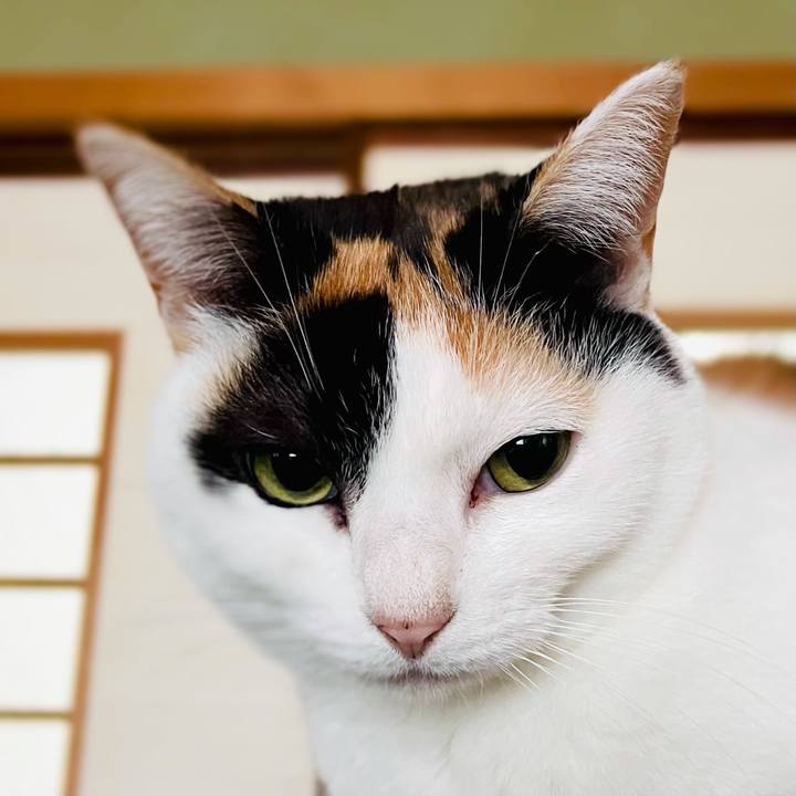 10dcc98b 34c3 496a a922 6ebd7236a565 1614997246028