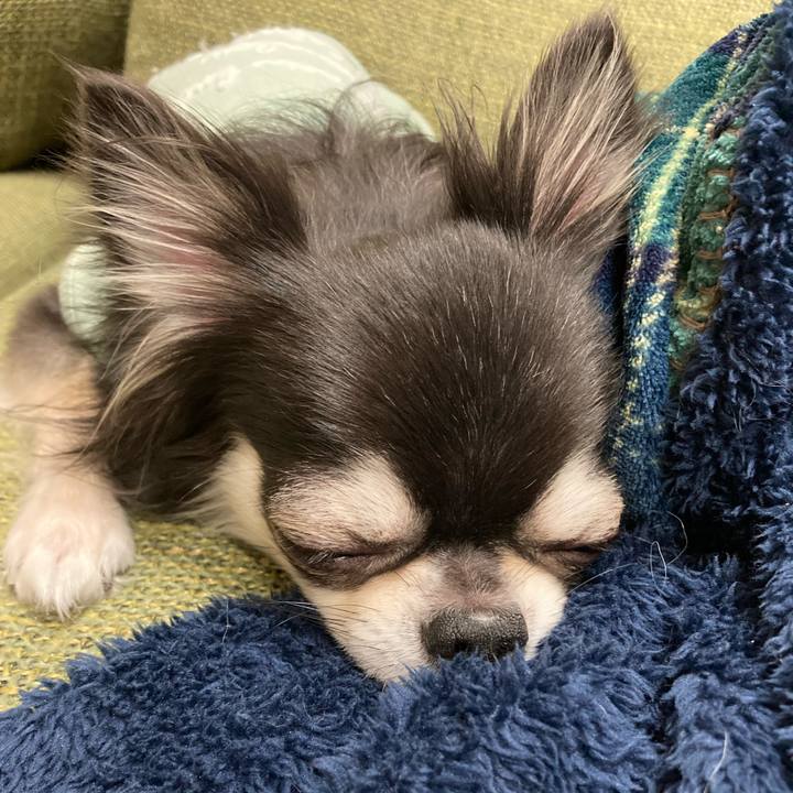 10dccdac 8b55 4d7c a0d3 7fd519c2551c 1667741564236