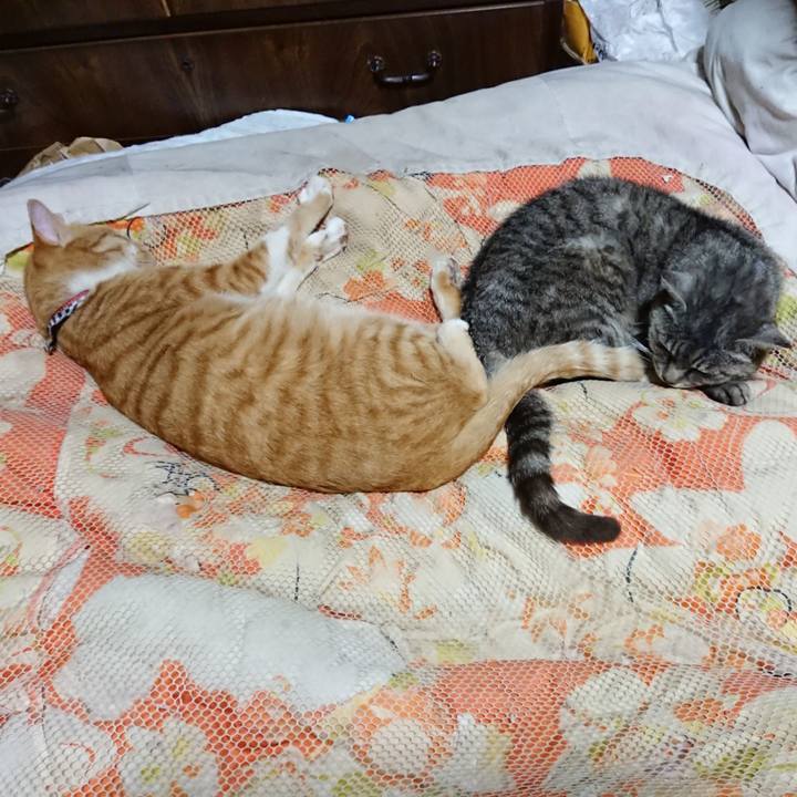 10dcd940 b691 403c bcb6 470da482a46a 1571495411973