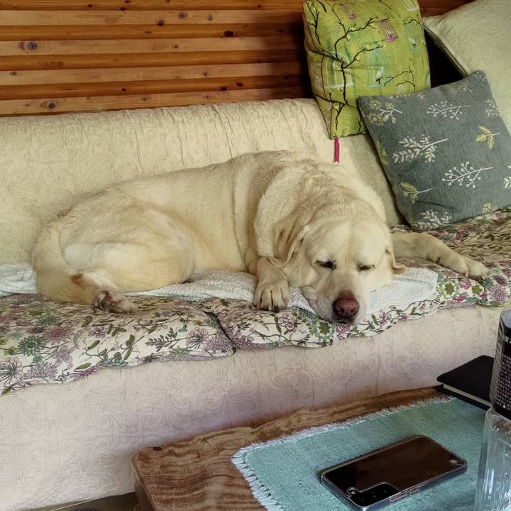 10dcec22 54ab 4dd8 b931 570f5ba93838 1719038550283