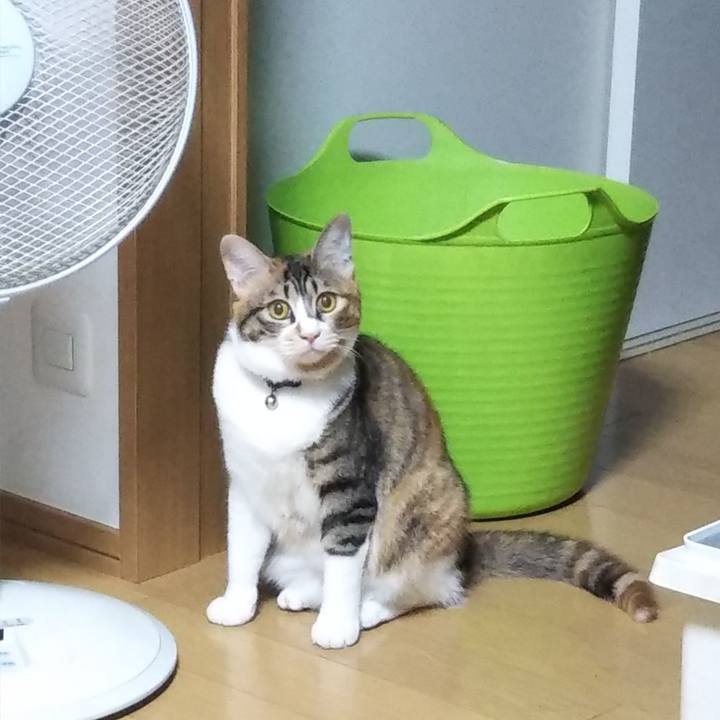 10dcee50 de43 42e4 95e7 95c7bd36a326 1656886083973