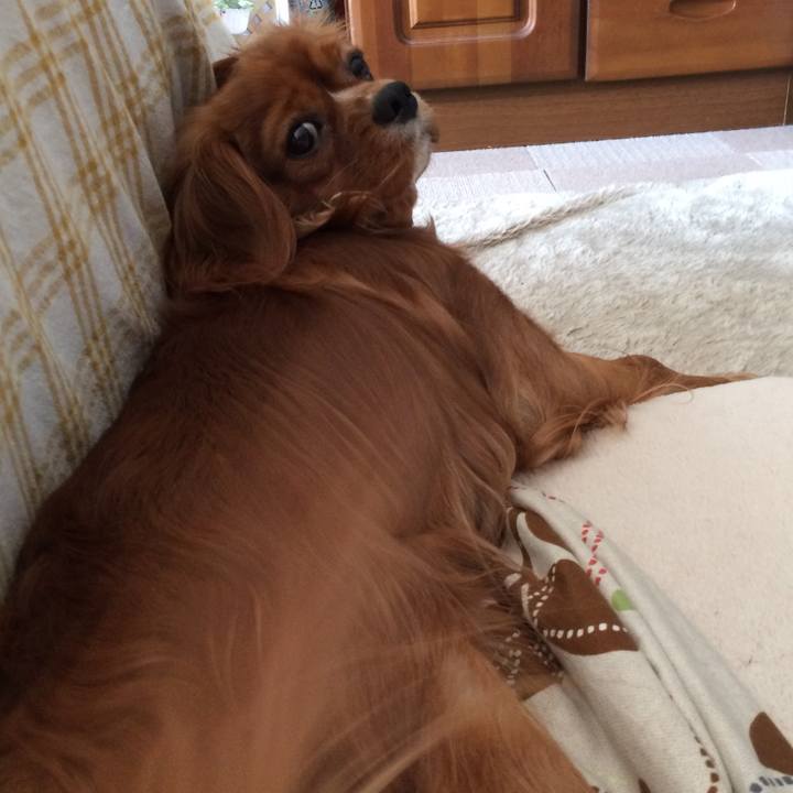 10dd03e0 dce0 42c9 b7bf 7d44ee9926d8 1522102857986