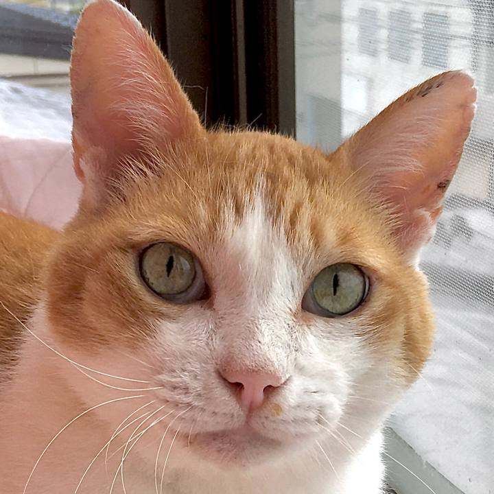 10dd049a fc0e 4f3d b3de e466c386a426 1599115071831