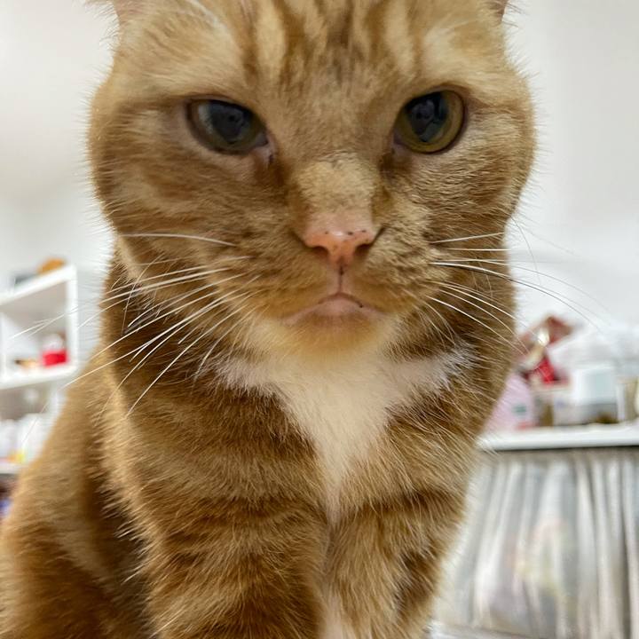 10dd28d0 1f05 43db bdcd 6e3c1696f62d 1623069008923